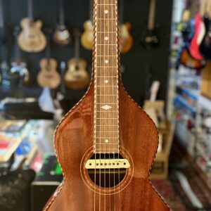 Gold Tone Weissenborn w. LR Baggs